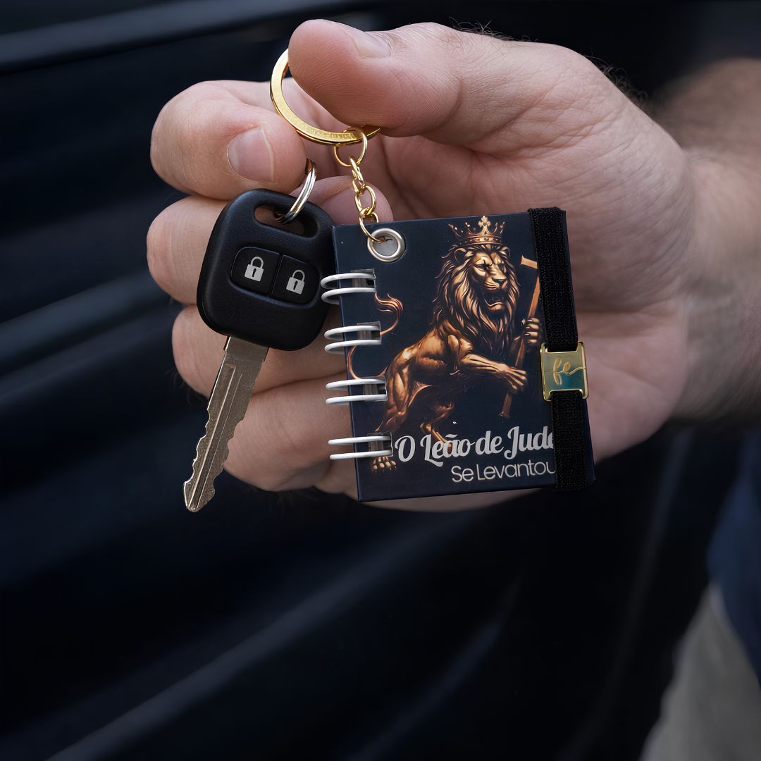 Chaveiro para chave de carro